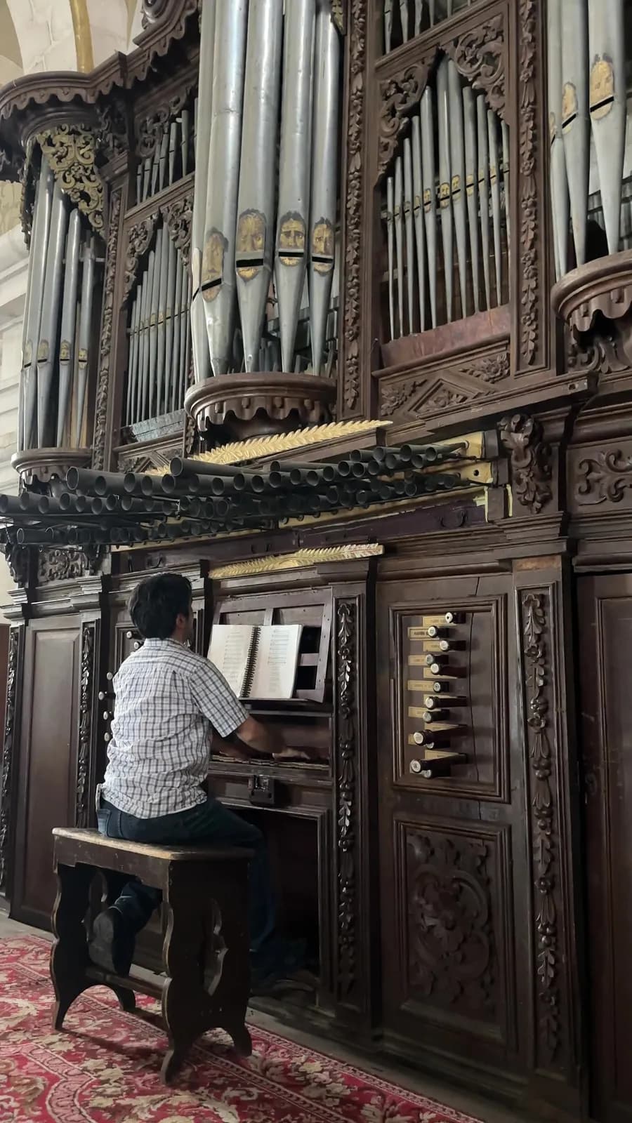 Órgano Histórico — Interpretación I