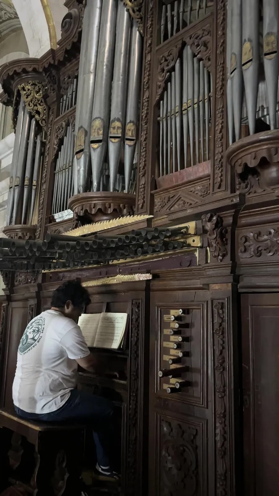 Órgano Histórico — Interpretación II