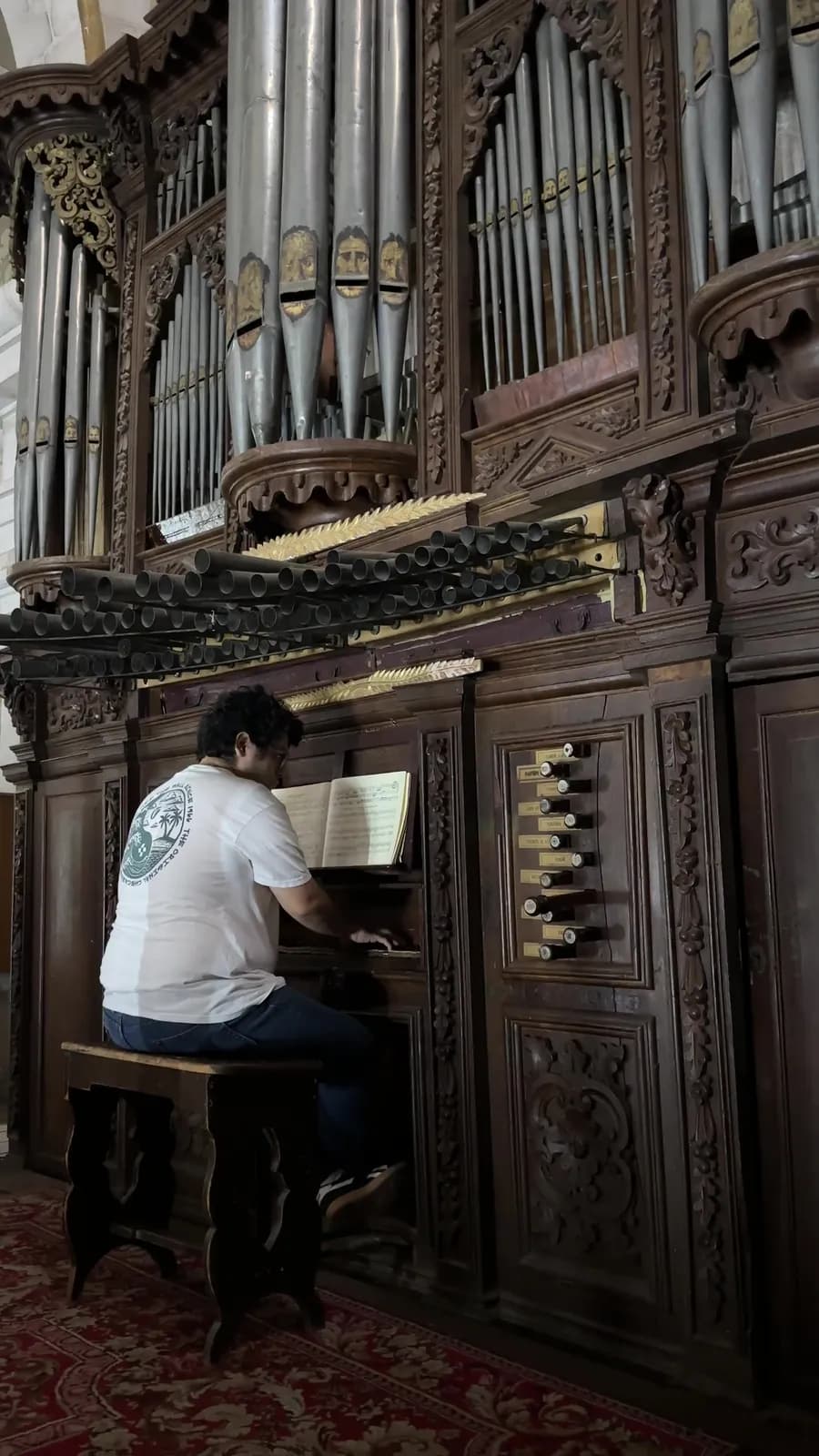 Órgano Histórico — Interpretación III