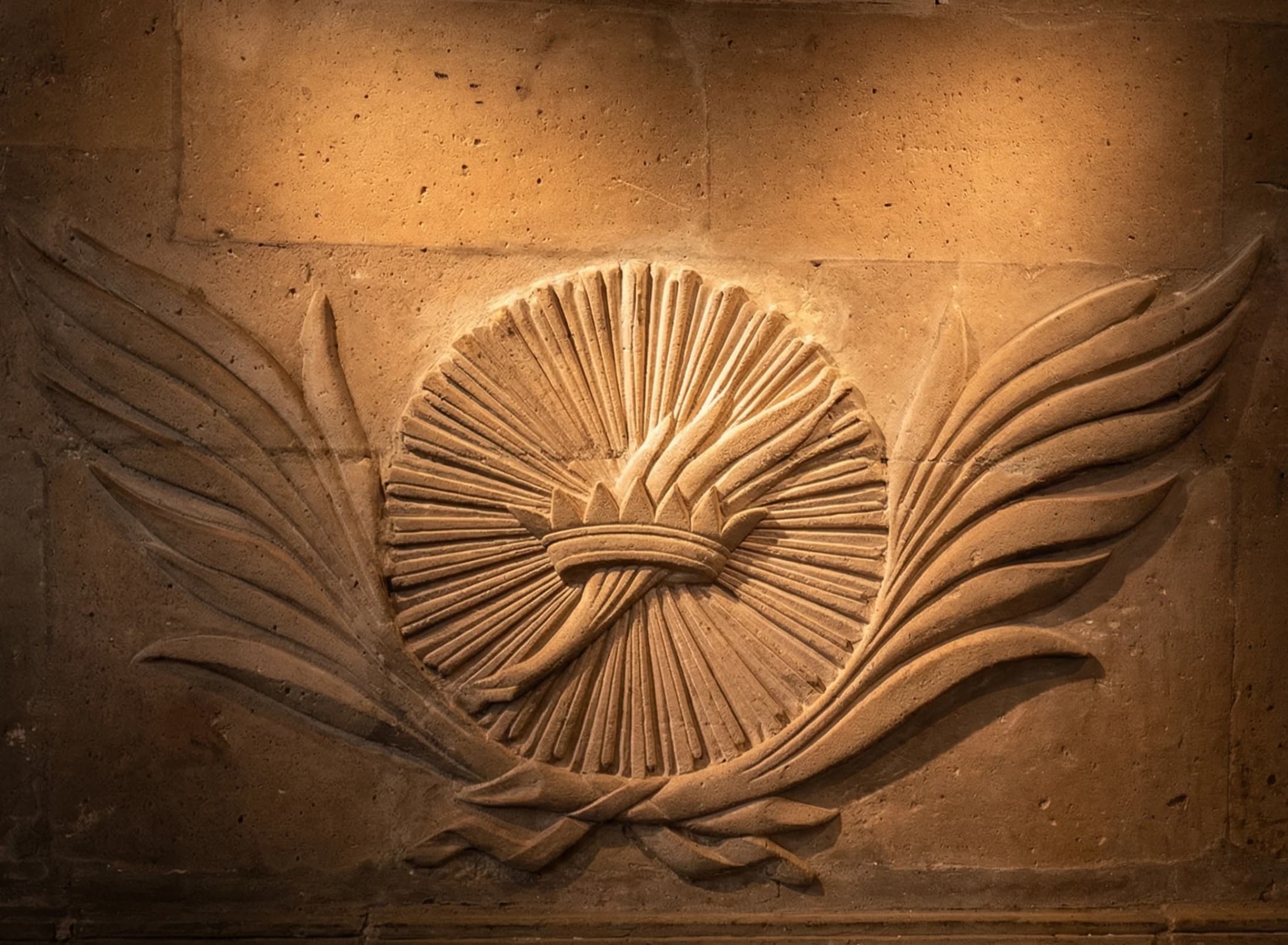 Galería 5